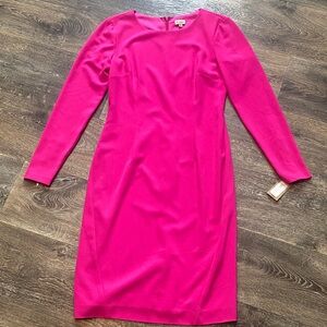 Daniel Cremieux Vibrant Pink Long Sleeve Dress